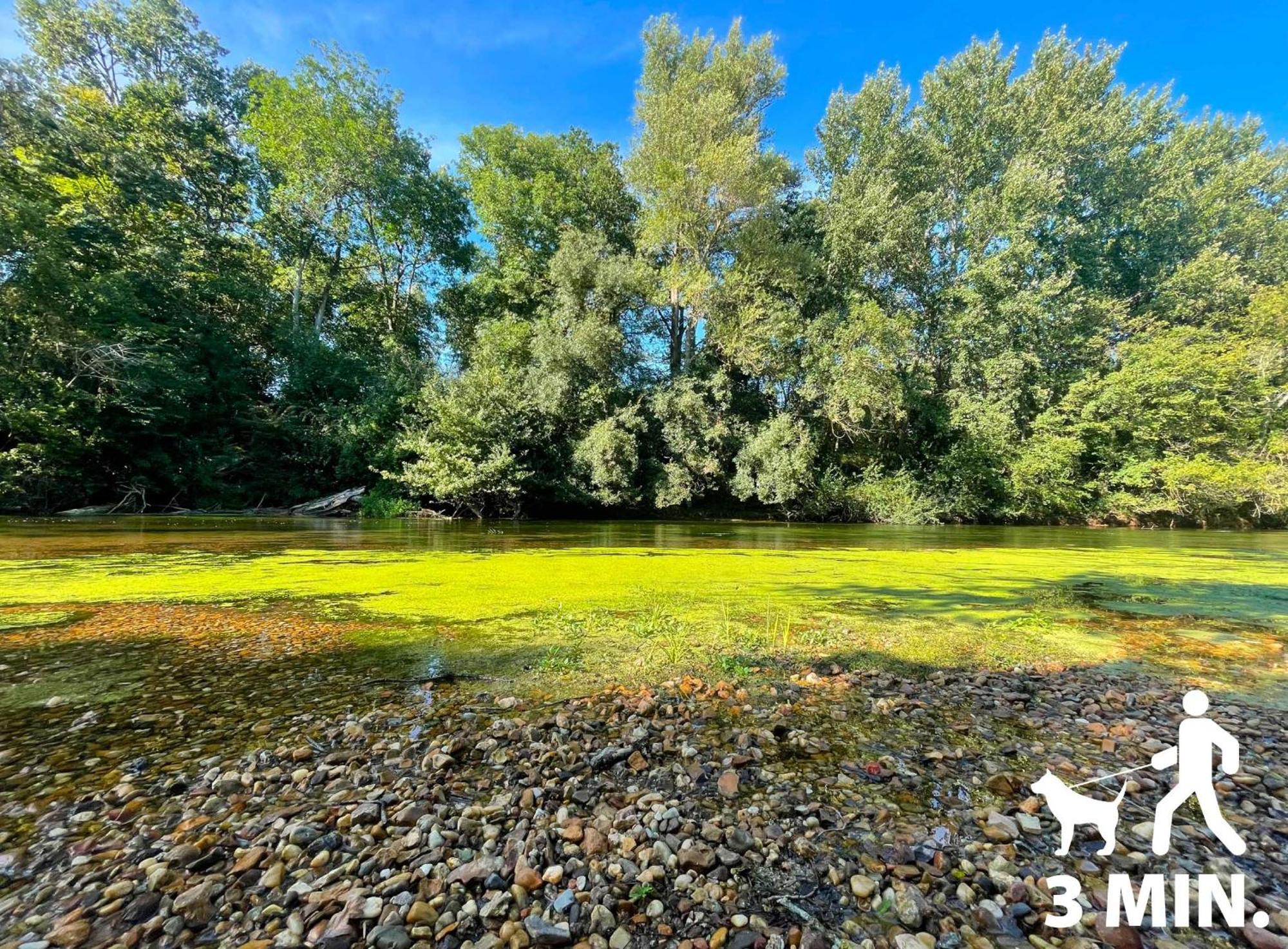 Gite Du Loiret Saint-Hilaire-Saint-Mesmin Εξωτερικό φωτογραφία